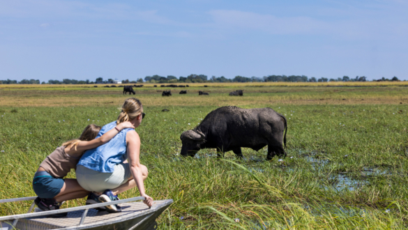 Machaba Web Activity Boating Close Encoutners Wildlife Machaba Web Activity Boating Close Encoutners Wildlife