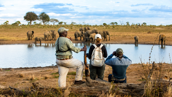 Machaba Zimbabwe Vernyeys Game Viewing Machaba Zimbabwe Vernyeys Game Viewing
