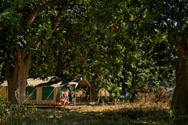 Machaba Web Zimbabwe Mana Pools Room Overview Machaba Web Zimbabwe Mana Pools Room Overview