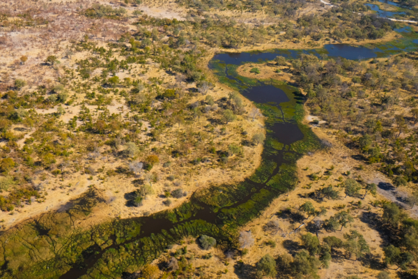 Okavango Opt 1 Okavango Opt 1
