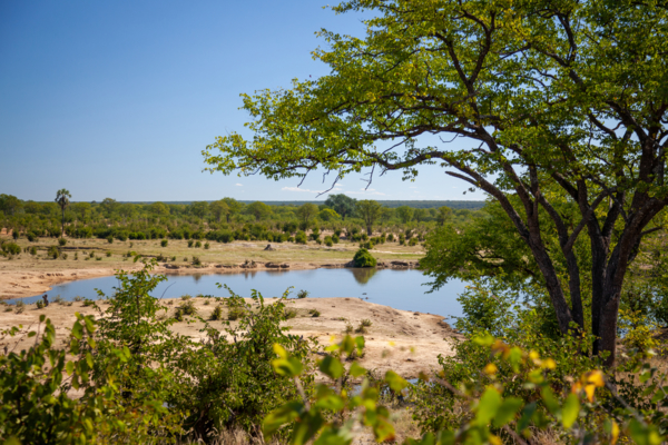 Hwange Opt 1 Hwange Opt 1