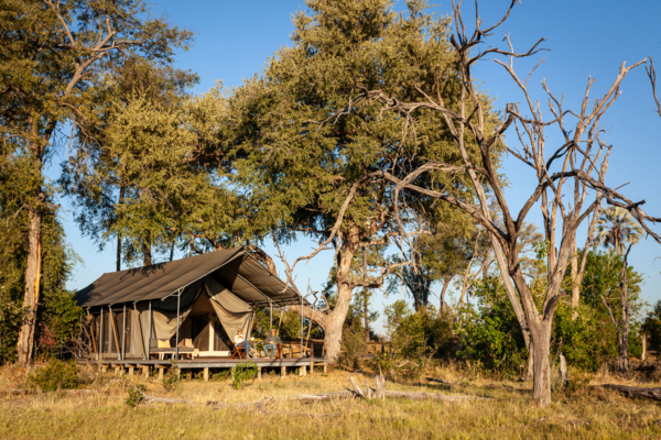 Machaba Gomoti Accommodation Tent Mvr 002 Machaba Gomoti Accommodation Tent Mvr 002