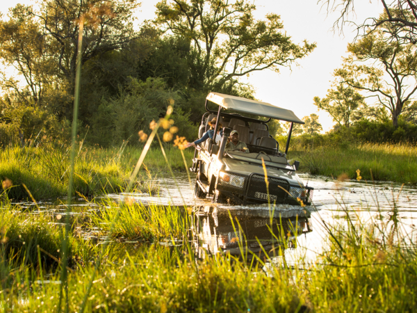 Machaba What To Expect Safari Unique Experiences Machaba What To Expect Safari Unique Experiences
