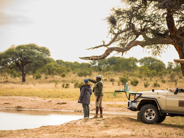 Machaba Web Packages Verneys Safari Stop
