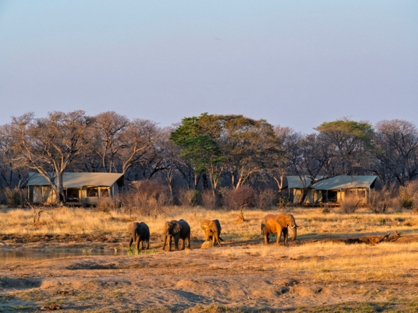 best-of-hwange-deka-camp-highlight-private-concession.jpeg Best Of Hwange Deka Camp Highlight Private Concession