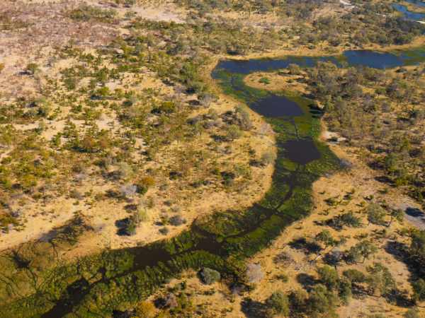 Okavango Opt 1