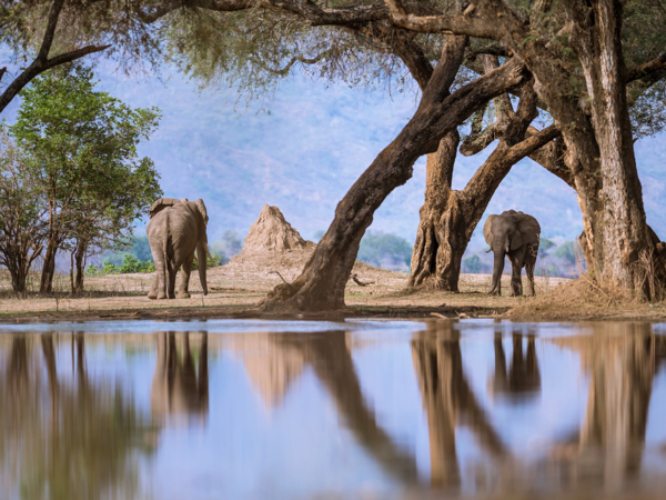 Machaba Safari Packages Mana Pools Package Highlight Biomes Machaba Safari Packages Mana Pools Package Highlight Biomes