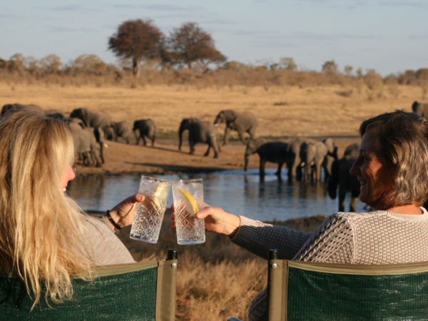 Machaba What To Expect Safari New Friendships Machaba What To Expect Safari New Friendships