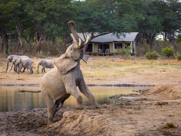 Machaba Zimbabwe Packages List Machaba Routes Machaba Zimbabwe Packages List Machaba Routes