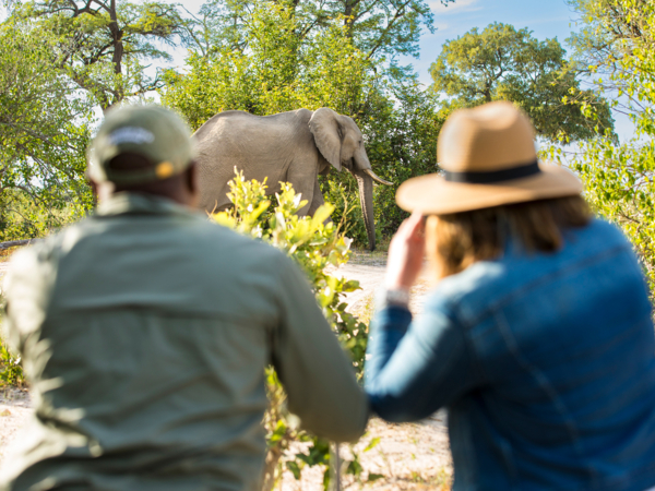 Machaba Web Packages Machaba Walking Safari 2