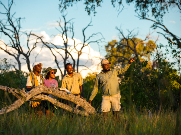 Machaba Web Packages Machaba Explore