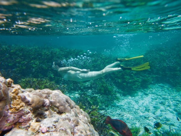 Seychelles Ocean Experiences 15 Seychelles Ocean Experiences 15