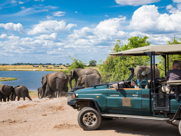 Machaba Web Packages Ngoma Game Drive