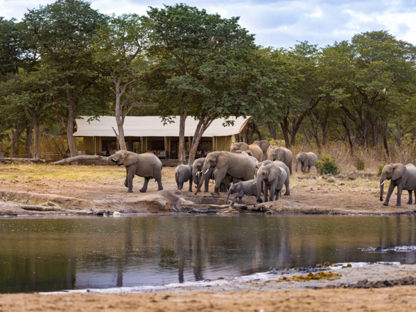Machaba Zimbabwe Packages List Classic Hwange Machaba Zimbabwe Packages List Classic Hwange