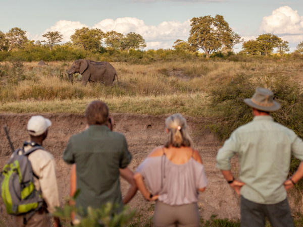 Machaba Deteema Experience Guided Walk Mvr 006 Machaba Deteema Experience Guided Walk Mvr 006