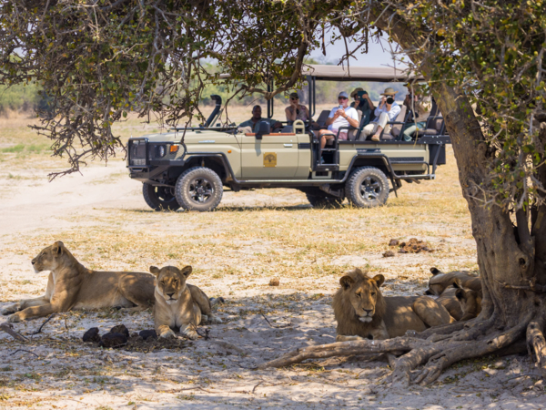 Web Machaba Ngoma Lodge Rates Includes Activities