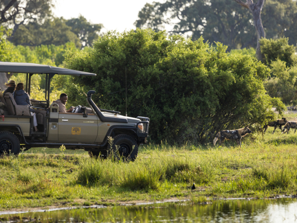 Machaba Botswana Okavango Delta Little Machaba Gallery Experiences Wildlife Game Drive Machaba Botswana Okavango Delta Little Machaba Gallery Experiences Wildlife Game Drive