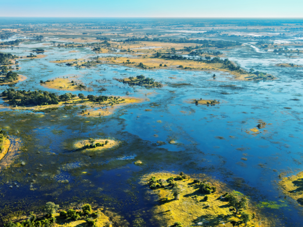 Botswana Okavango Delta Botswana Okavango Delta