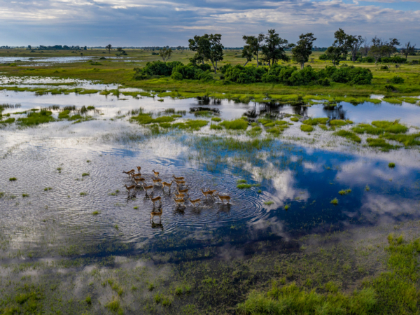 Machaba Web Packages Explorations Destination Okavango Delta Machaba Web Packages Explorations Destination Okavango Delta