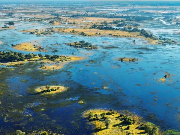 Machaba-south african-season-Okavango-Delta-Botswana.jpg Machaba South African Season Okavango Delta Botswana