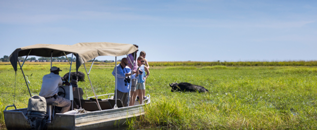 Machaba Web Safari Experience Gallery Buffalo Boat Ride Machaba Web Safari Experience Gallery Buffalo Boat Ride