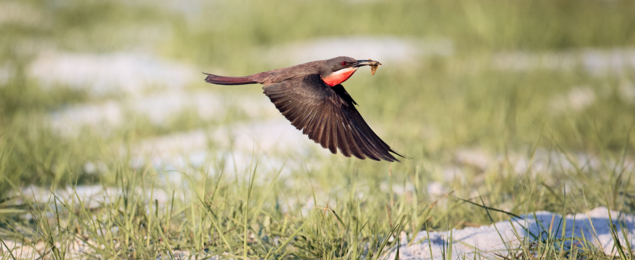 Experiences Carousel Image 9