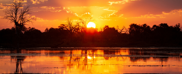 Machaba Machaba Experience Safari Mvr 058