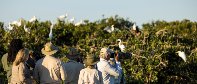 Birdwatching on a boat cruise on the Monachira River