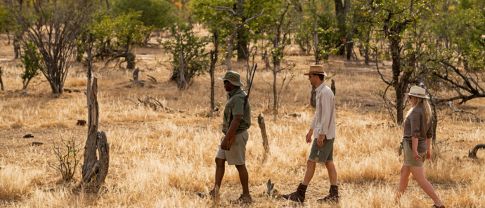 Machaba Safaris Zimbabwe Mana Pools National Park Mana River Camp Walking Safari Machaba Safaris Zimbabwe Mana Pools National Park Mana River Camp Walking Safari