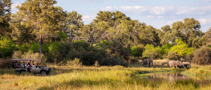 Elephants Machaba.jpg Elephants Machaba.jpg