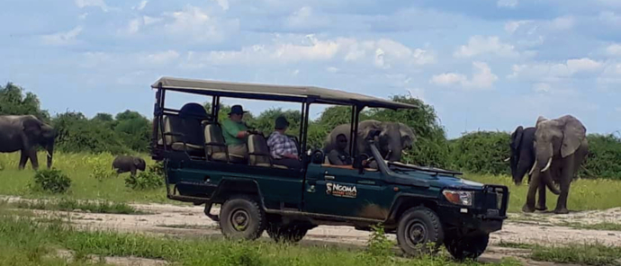 Machaba Botswana Chobe Ngoma Sighting February 2020 Safari Machaba Botswana Chobe Ngoma Sighting February 2020 Safari