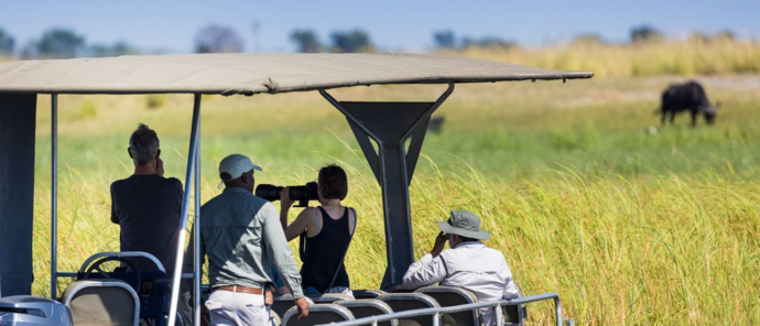 Machaba Chobe National Park Game Viewing From Boat Machaba Chobe National Park Game Viewing From Boat