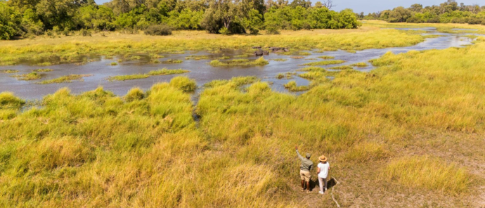 Machaba Safaris Okavango Delta Walking Safari Dry Season