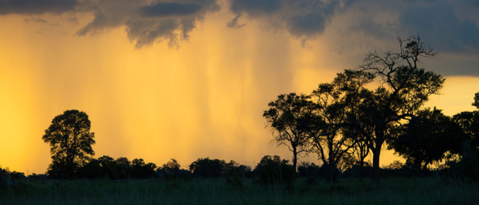 Mike Myers Kiri Green Season