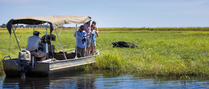 Machaba Chobe National Park Boat Cruise Buffalo Sighting Machaba Chobe National Park Boat Cruise Buffalo Sighting