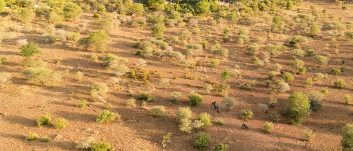 Machaba Chobe National Park Dry Season Weather Machaba Chobe National Park Dry Season Weather