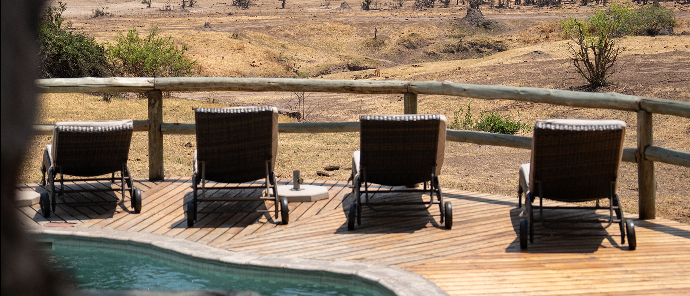 Zimbabwe Hwange Deteema Sightings September 2024 Pool Day Zimbabwe Hwange Deteema Sightings September 2024 Pool Day