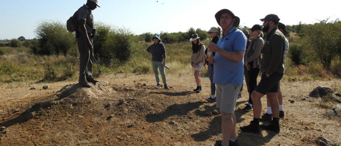Machaba Safaris Zimbabwe Hwange National Park Deteema Springs Wildlife Sightings June 2022 Guest Trackers Machaba Safaris Zimbabwe Hwange National Park Deteema Springs Wildlife Sightings June 2022 Guest Trackers