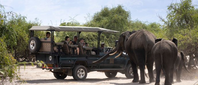 Machaba Chobe National Park Elephant Encounter Machaba Chobe National Park Elephant Encounter
