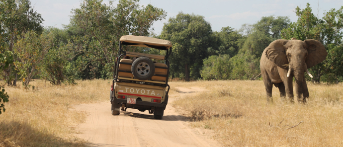 Machaba Safaris Zimbabwe Mana River Camp Sightings June Banner Elephant Game Viewer Machaba Safaris Zimbabwe Mana River Camp Sightings June Banner Elephant Game Viewer