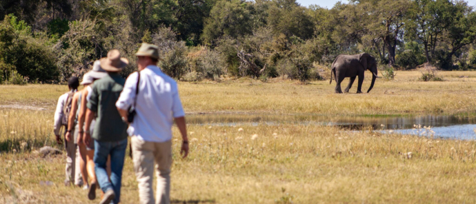 Machaba Gomoti Plains Botswana Super Stay Special Machaba Gomoti Plains Botswana Super Stay Special