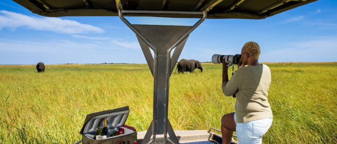 Machaba Chobe National Park Photography Tips In The Wet Season Machaba Chobe National Park Photography Tips In The Wet Season
