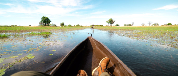 A mokoro glides over the still Okanvago Delta