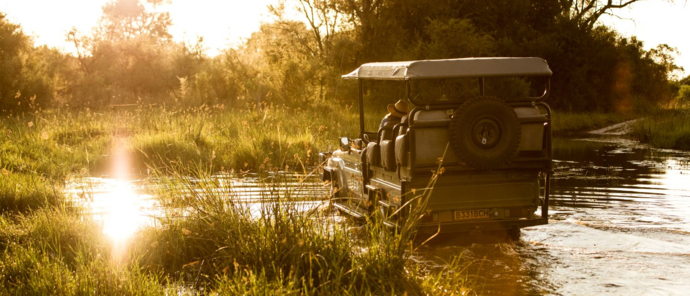Machaba Safaris Okavango Delta Wet Season Game Drive