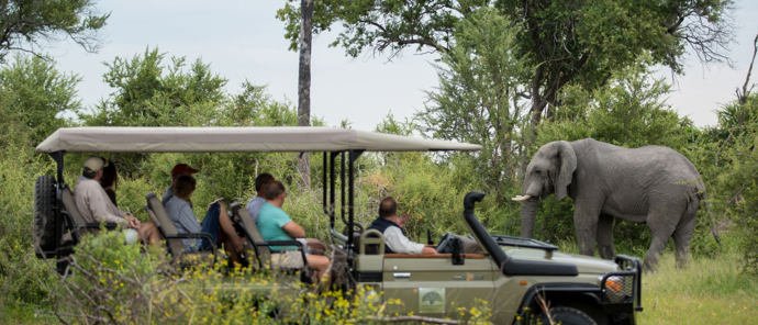 Machaba Safaris Botswana Gomoti Plains Game Drive Machaba Safaris Botswana Gomoti Plains Game Drive