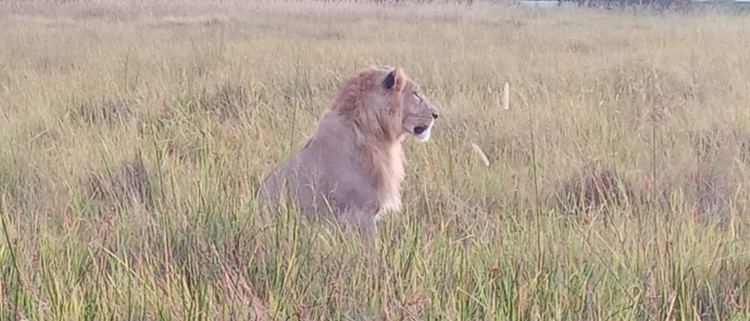 Machaba Camp May 2023 2 Machaba Camp May 2023 2