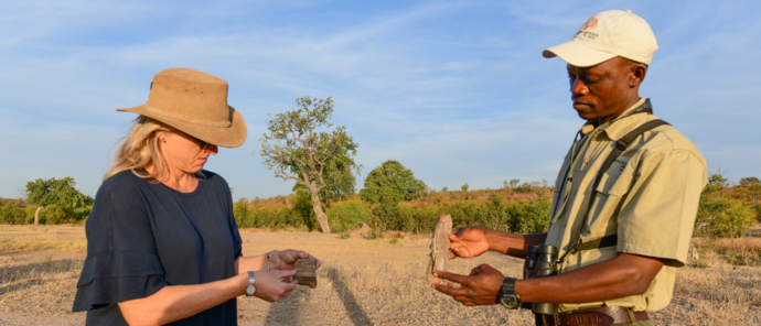 Machaba Deteema Springs Camp Wildlife Sightings July 2026 Hwange History Lesson