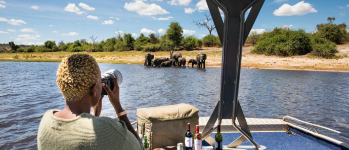 Machaba Chobe National Park Photography Tips In The Dry Season Machaba Chobe National Park Photography Tips In The Dry Season