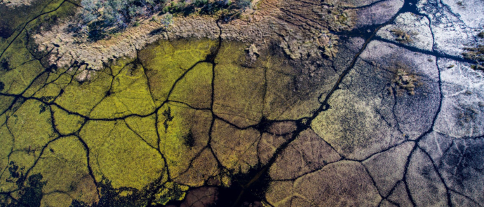 Machaba Safaris Okavango Delta Fly In Channels Of The Delta
