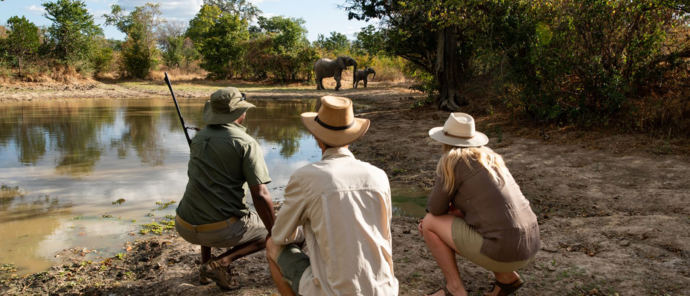 Zimbabwe Mana River Camp Walking Safari Zimbabwe Mana River Camp Walking Safari